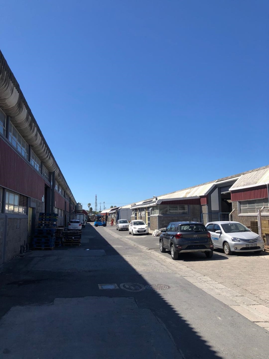 To Let Commercial Property for Rent in Retreat Western Cape